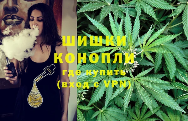 марки lsd Инта