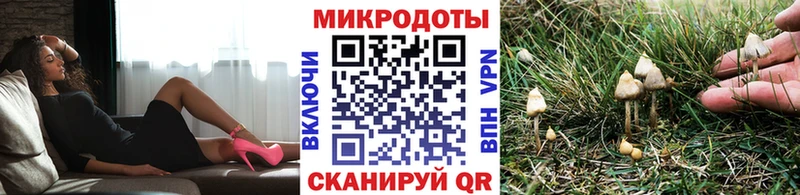 Купить закладки  Ухта  Галлюциногенные грибы мицелий 